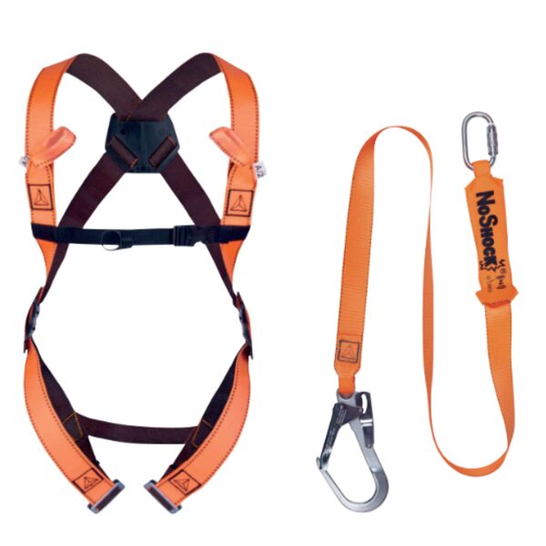 Harness and Lanyard Thumbnail