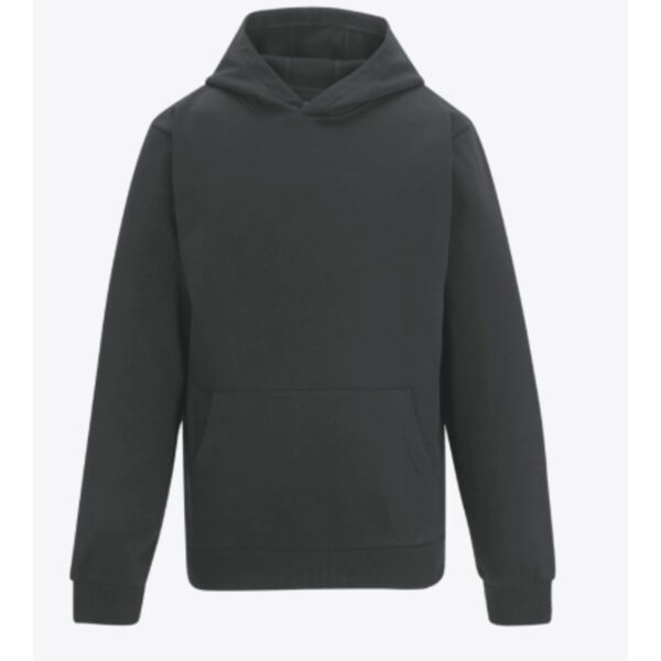 Pro Hoodie Thumbnail